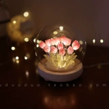 День учителя Лунный ночной фонарь