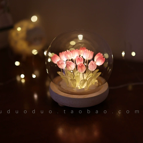 День учителя Лунный ночной фонарь