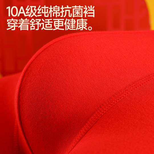 Septwolves Red Underwear Boys' Zodiac Year Pure Cotton Style