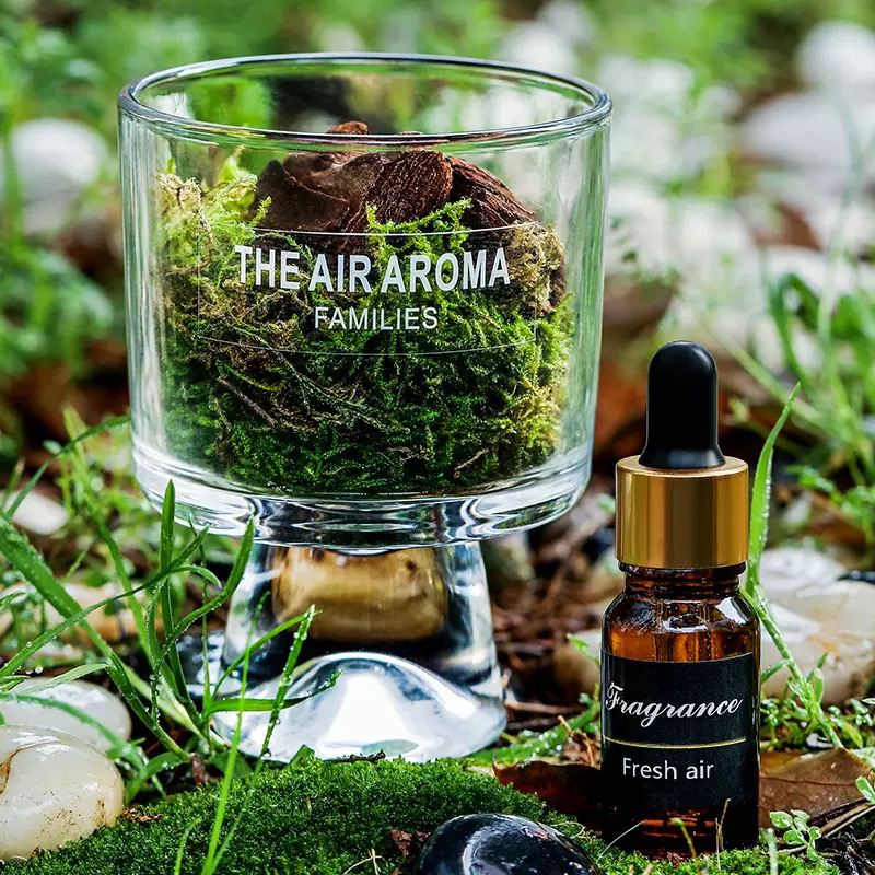 松木青苔扩香杯森系无火精油挥发液净化空气持久留香摆件香薰 - 图0