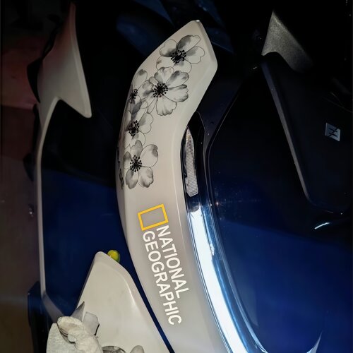 适用25款极核AE4 Pro/Max/AE8+/AE7车身繁花仿真桃花立体装饰品贴 - 图0