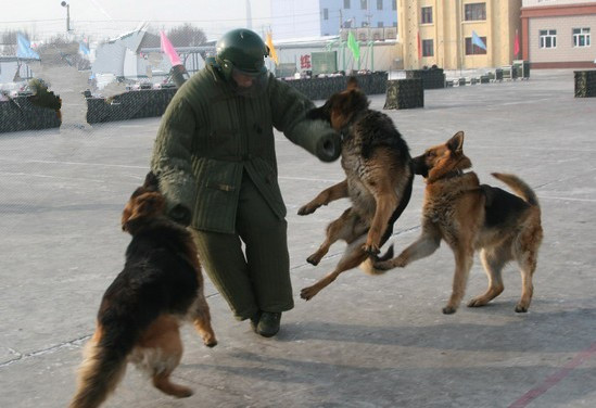 麻布化妆服 帆布扑咬服 工作犬训练装备 犬防御靶衣加厚长款防护 - 图0