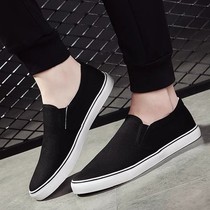 New ․Red Book Shuttle Spot DAREN recommends ‟‟‟‟‟‟‟‟‟‟‟‟‟‟‟‟‟‟‟8223