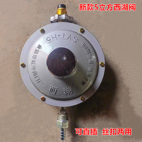 西湖YJ5型液化石油气调压器5立方50公斤钢瓶专用减压阀工业低压阀 - 图0