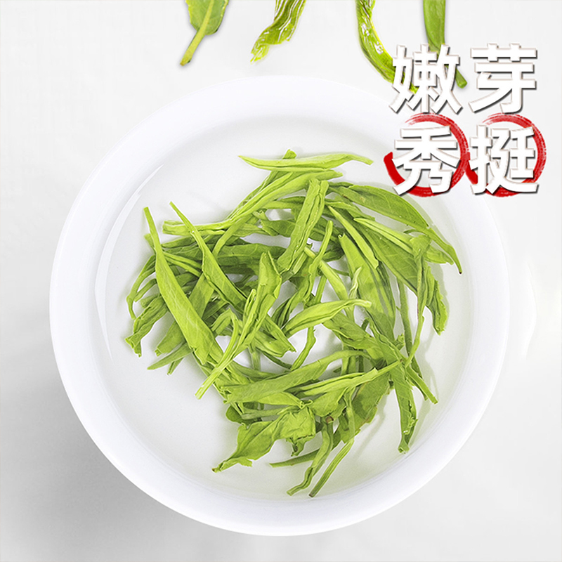 醉然香 日照充足高山云雾绿茶 自己喝浓香型嫩芽春茶250g批发