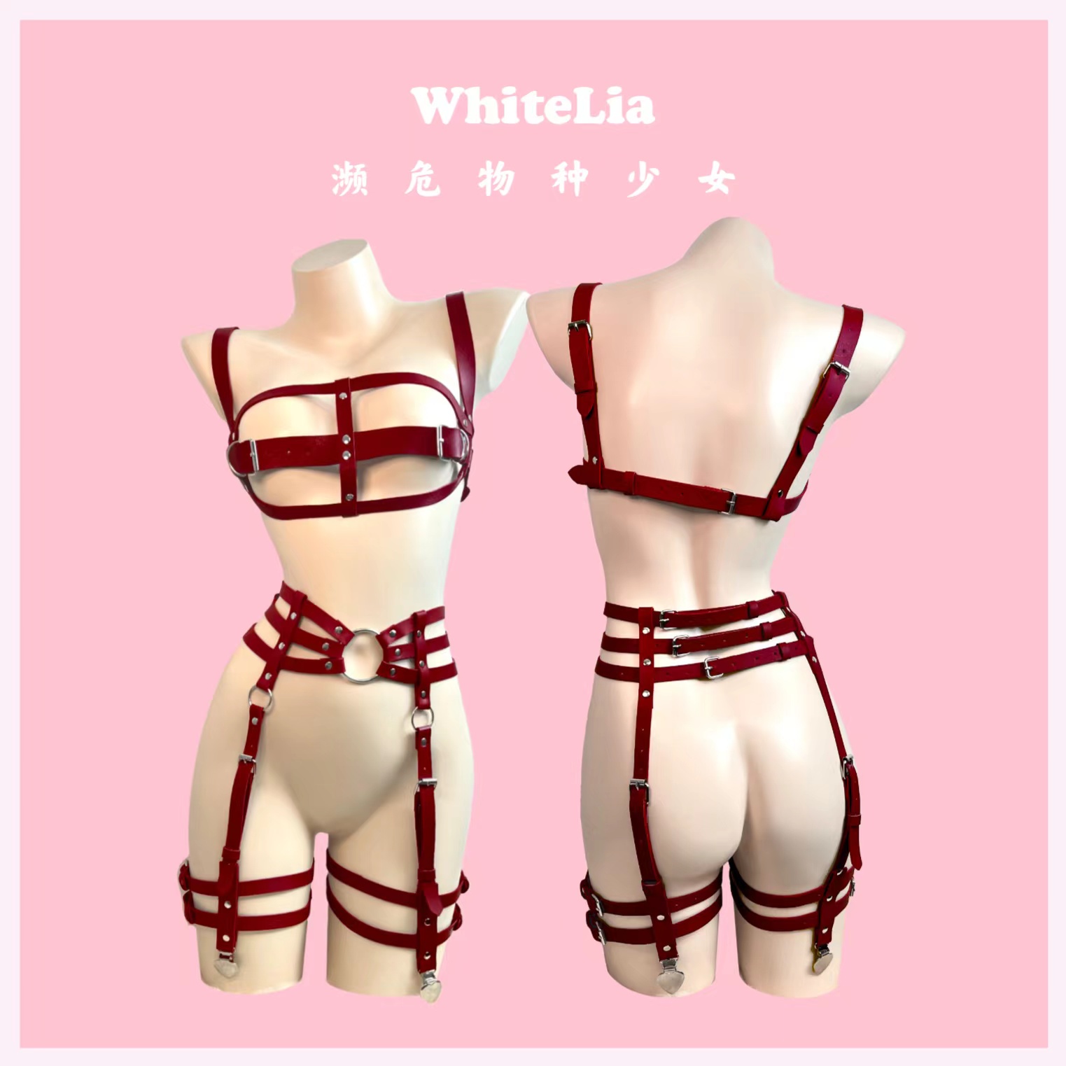 WhiteLia「液刑者」原创设计内衣性感皮带镂空胸衣腿环吊袜带套装 - 图0