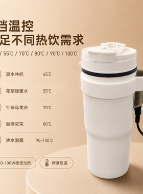 多功能电热水杯搅拌咖啡奶泡杯12V24V通用车载货汽车加热烧水杯