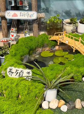 幼儿园环创植物角自然区角装饰造景场景布置道具装饰diy走廊