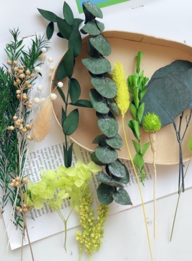 植物集DIY干花材料永生千层金