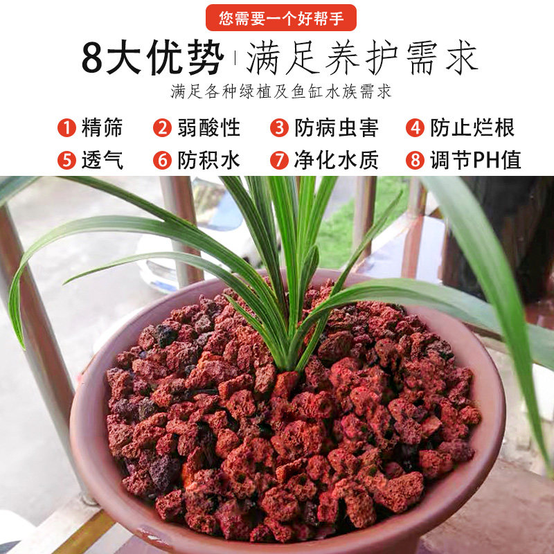 腾冲天然火山石颗粒土兰花多肉透气铺面专用土火山岩石鱼缸50斤,淘宝优惠券,粉丝福利购,淘宝优惠卷