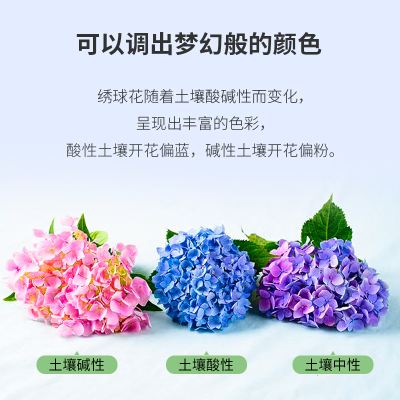 绣球花老桩无尽夏18年精品大苗庭院阳台盆栽八仙花变色大花球易活,淘宝优惠券,粉丝福利购,淘宝优惠卷