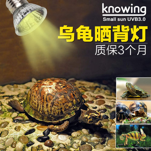 K诺茵芦丁鸡科尔鸭乌龟晒背小太阳聚热全光谱灯架灯夹加温保温灯 - 图0