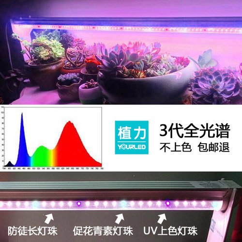 植力 LED全光谱多肉补光灯防徒长上色植物生长光合作用家用仿太阳 - 图2