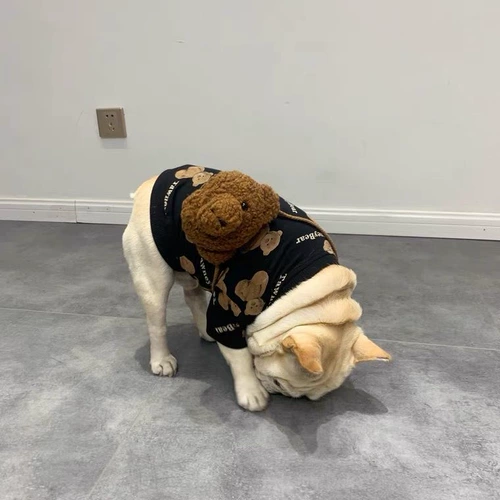 Британская весна и осенняя зимняя одежда для любителей собак Puggo борьба с хулиганской одеждой маленькая собака Corgi Толстый меховой жар