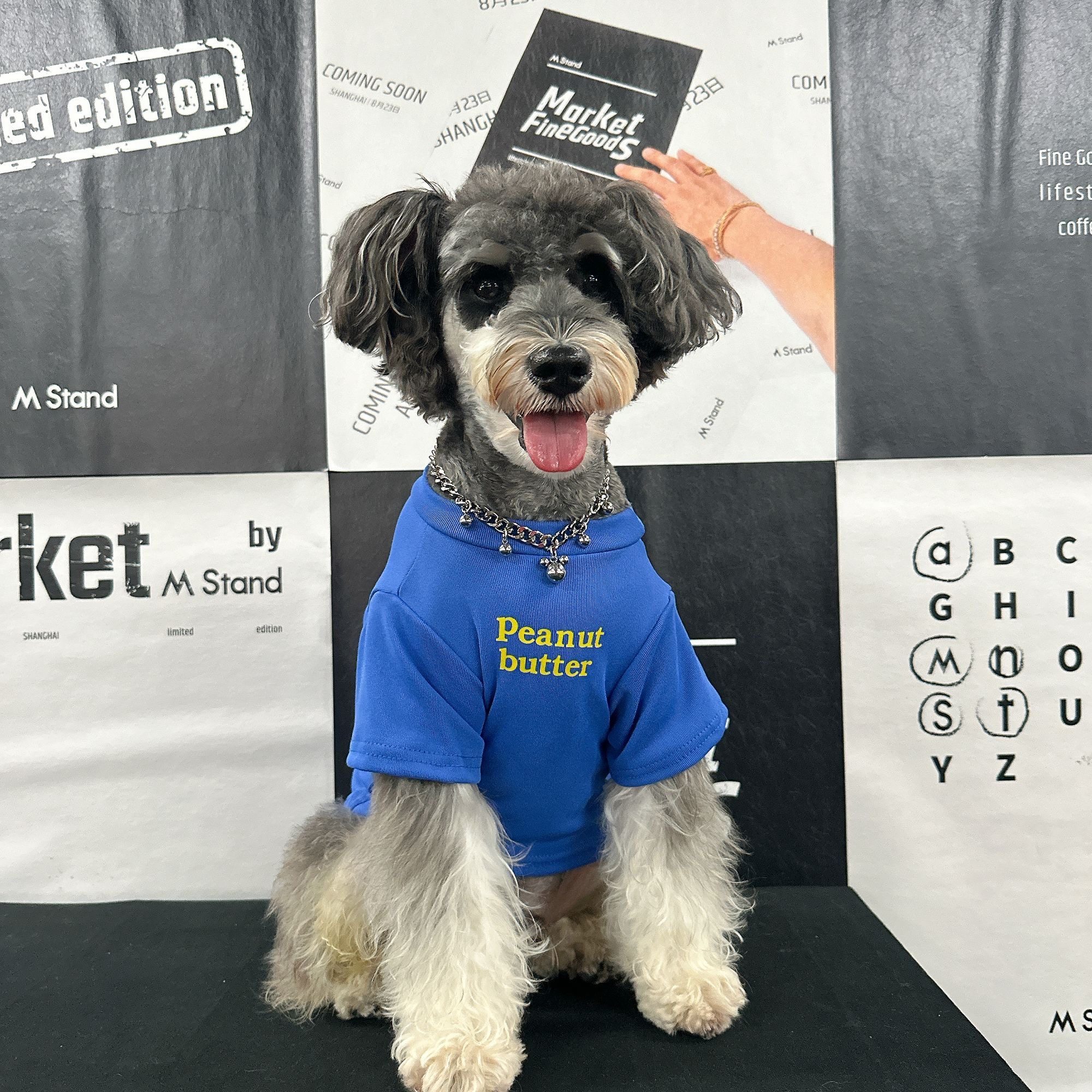 春秋冬新款狗狗衣服潮牌透气雪纳瑞泰迪比熊博美茶杯犬衣服可爱,淘宝优惠券,粉丝福利购,淘宝优惠卷