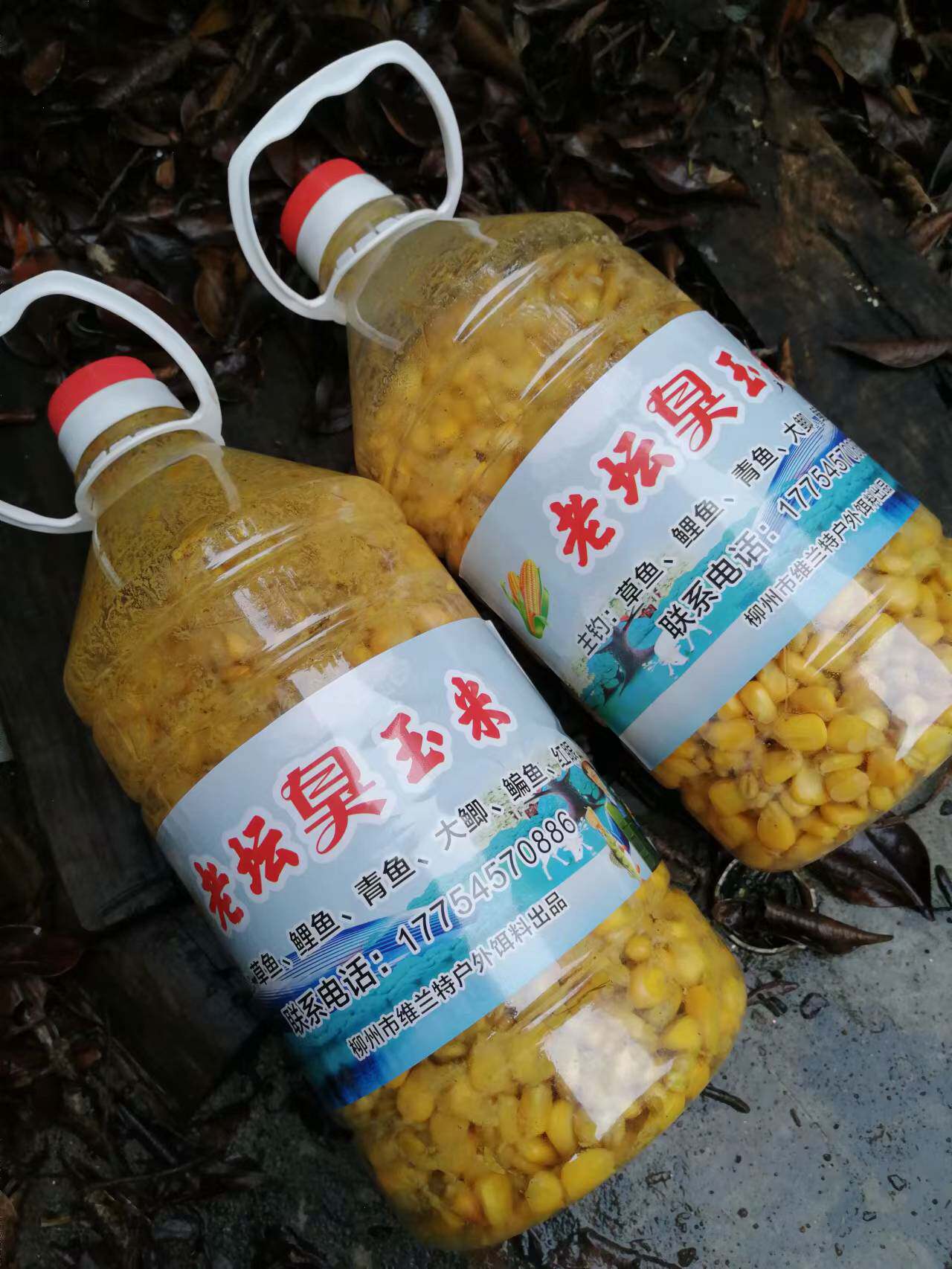 图2
