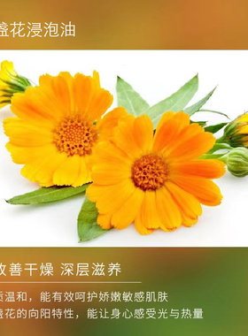 金盏花浸泡油滋润肌肤修护敏感肌