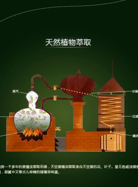粤渝天竺葵精油平衡水油收缩毛孔