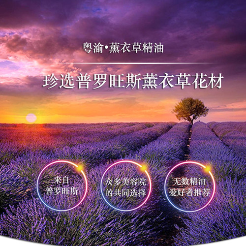 法国薰衣草精油护肤正品助眠100ml单方按摩面部 香薰淡印进口天然 - 图0