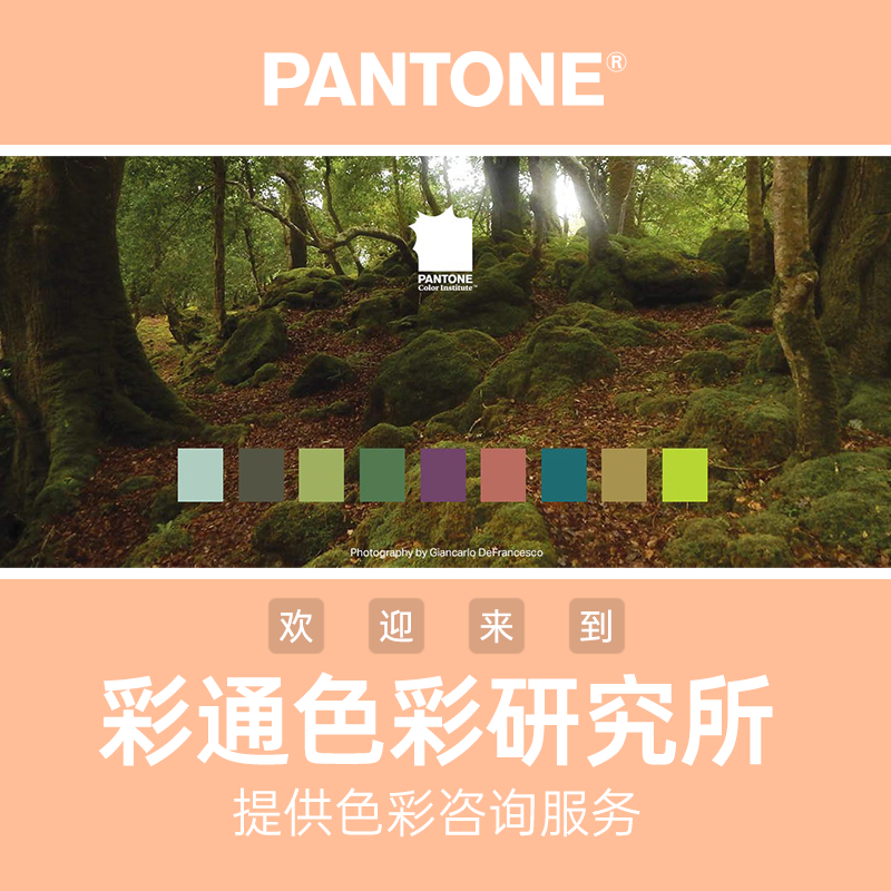 Pantone潘通2024年度代表色棉布版色卡 COTTON SWATCH CARDS, COY 2024 13-1023 Peach Fuzz蜜桃色TCX - 图1