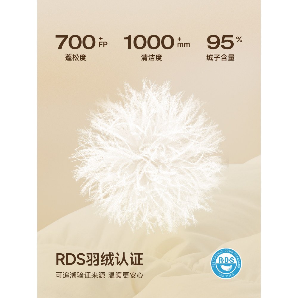 TeenieWeenie小熊女装羽绒服25年冬简约休闲少女感轻薄款夹克外套