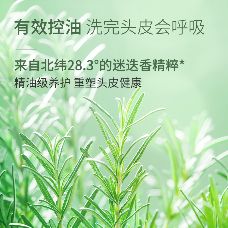 歌歌兰妮控油蓬松洗发水去屑水润洗头膏头皮舒缓护理洗发露女男士 - 图1