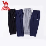 Штаны, летние тонкие дышащие трикотажные шорты для отдыха, оверсайз, коллекция 2021, для бега