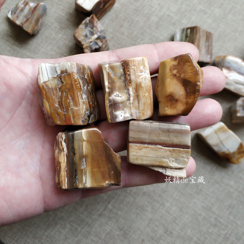 天然大块木化石原石树化玉矿石标本水晶碎石摆件鱼缸花盆造景石头 - 图2