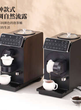 伟纳斯智能泡茶机自动进水