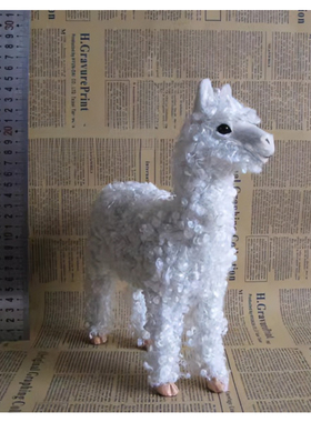 儿童仿真羊驼教学摆件