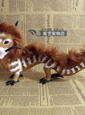 影视道具神龙标本教学家居装饰