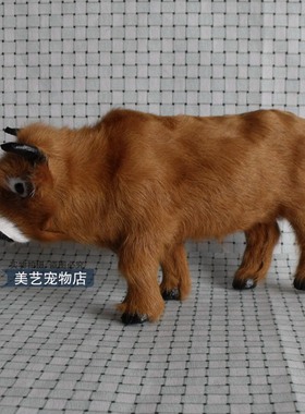 仿真农场动物幼儿园教具模型摆件