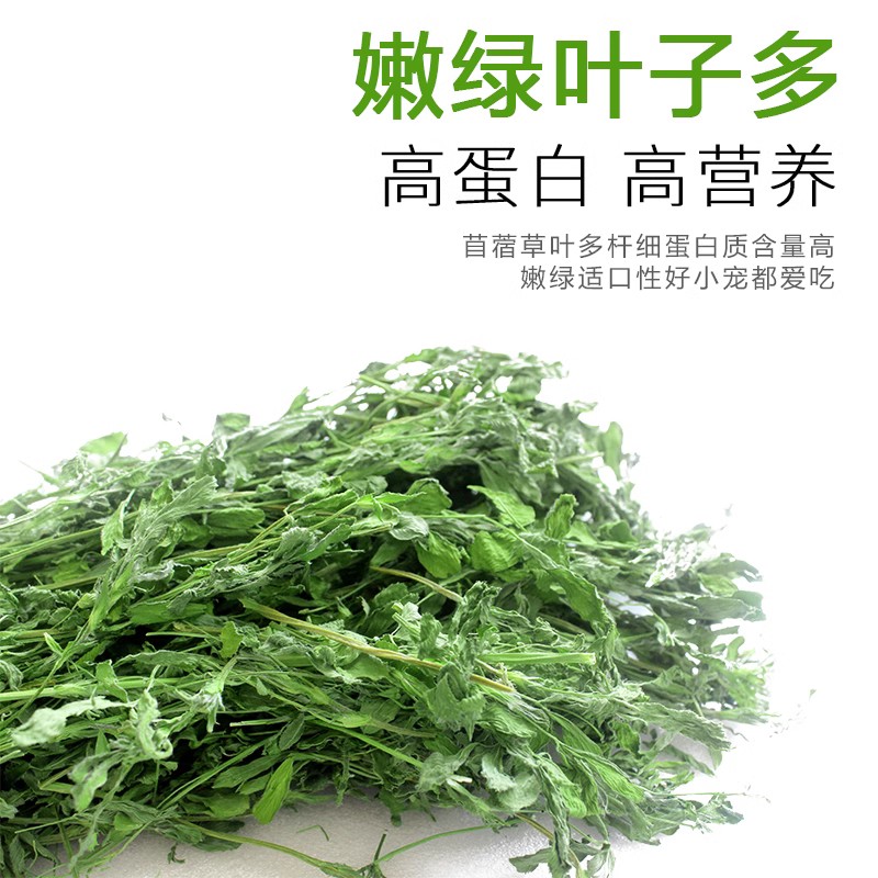 紫花苜蓿草 兔草新香脆营养烘干毛重1KG宠物兔龙猫豚鼠苜蓿干草粮 - 图2