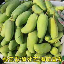 Ivory Mans 2 catties 3 catty 5 catty mango raw to eat sour and crisp green mansour mango raw mango fresh fruit sour Crisp Mango