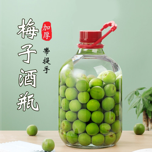 青梅泡酒瓶专用玻璃瓶加厚葡萄酒瓶子容器自酿泡酒罐密封提手瓶子 - 图3