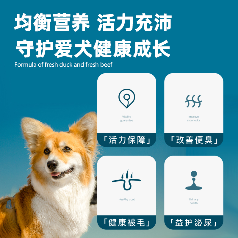 朗仕狗粮中大型犬成犬粮10kg金毛萨摩耶拉布拉多哈士奇天然粮20斤