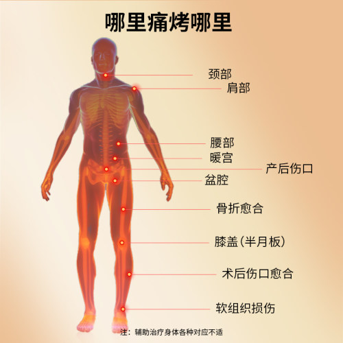 加加林红外线理疗灯家用神灯搭配艾灸理疗仪烤灯医用理疗仪电磁波 - 图0