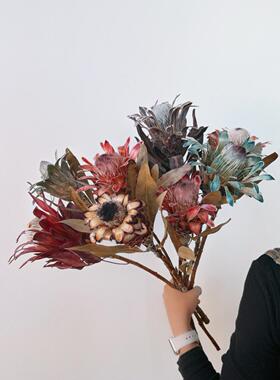 南非进口公主干花家居花束复古
