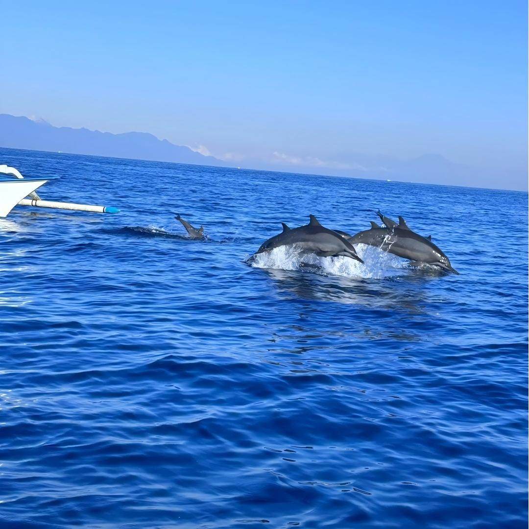 【一人起订·赠送航拍】巴厘岛+布罗莫+罗威纳+佩妮达跟团游6日游,淘宝优惠券,粉丝福利购,淘宝优惠卷