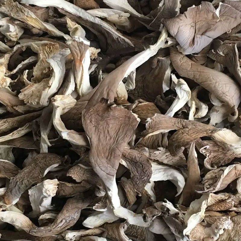 Half an acre of fertile land, half an acre of river, mushroom fresh gift A1010g, north and south dry goods gift box, mountain treasure gift box, new year gift box