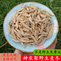 Wild Dwarf Lilyturf selected by Shennongzhu Wild Dwarf Lilyturf water Non-Sichuan Dwarf Lilyturf Tea 250 gr No sulphur Dwarf Lilyturf