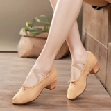 Танцевальные туфли с говядиной говядины Кулла.