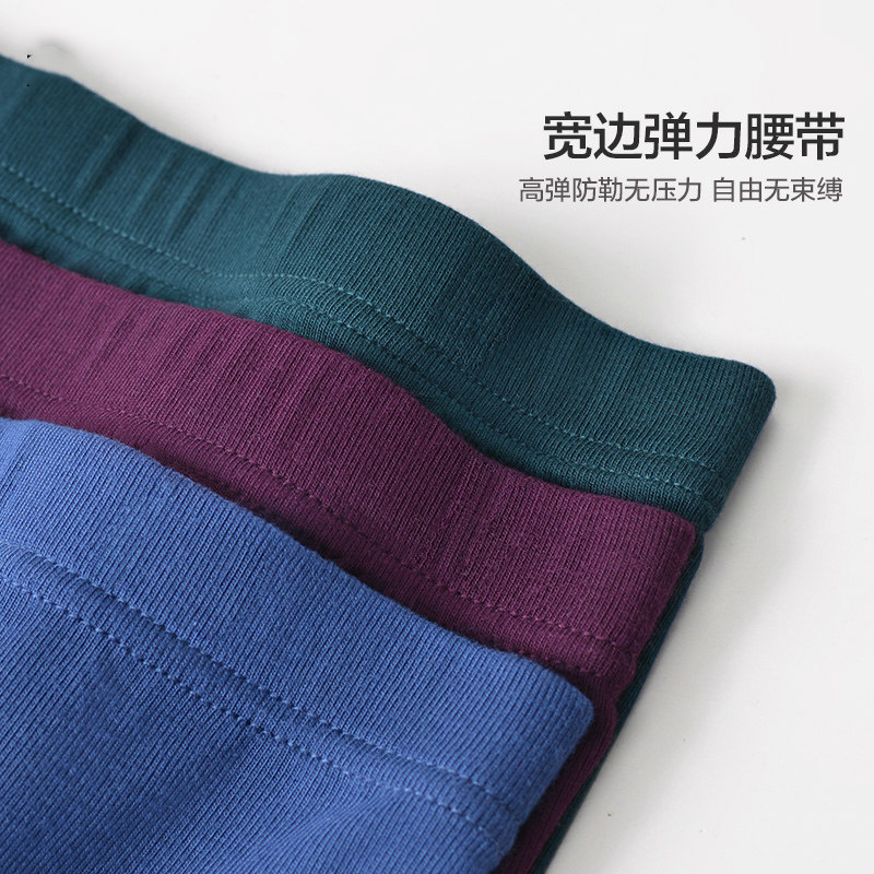 皮尔卡丹男士秋冬莫代尔内裤舒适透气平角裤无痕四角裤2条装,淘宝优惠券,粉丝福利购,淘宝优惠卷