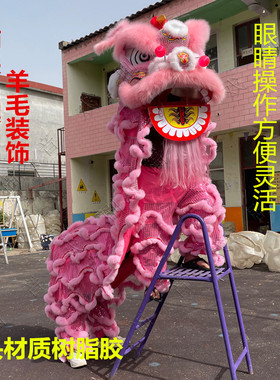 舞狮道具南狮醒狮成人儿童双人小狮子舞狮子儿童道具南狮狮子整套