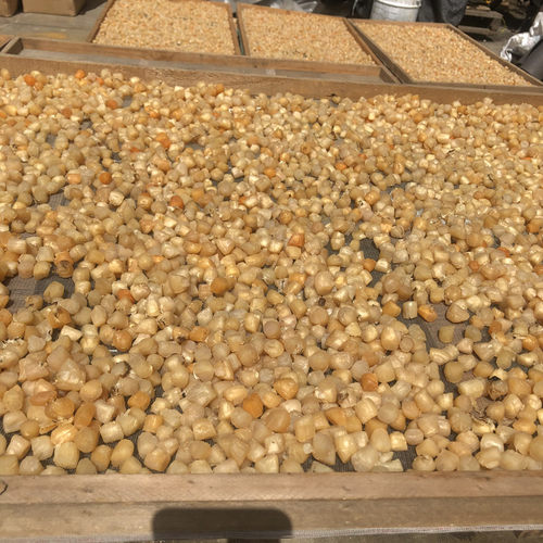 干贝干货元贝瑶柱500g长岛深海鲜贝丁扇贝丁特价海鲜煲汤海产 - 图2