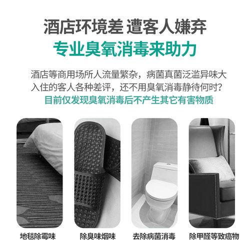 飞立臭氧消毒机车间臭氧发生器空间杀菌除臭除味活氧机铂金款 - 图1