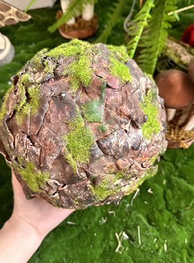 青苔布景橱窗拍照点缀幼儿园环创
