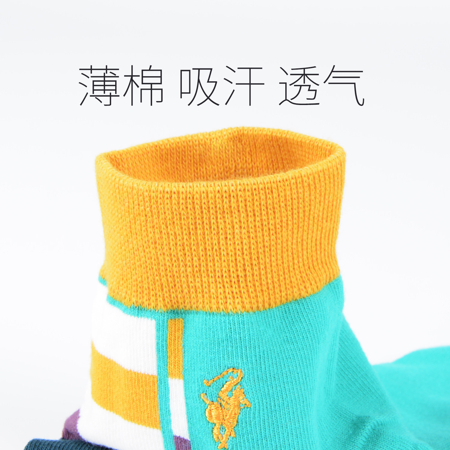  polo品棉短袜/打底袜/丝袜/美腿袜