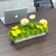 Conference table with flowers and green plants in the middle of the long table in the conference room