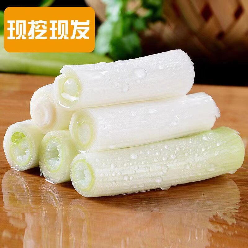 山东章丘大葱高白脆甜5斤9斤包邮礼盒生吃蘸酱精选葱王特级 - 图3